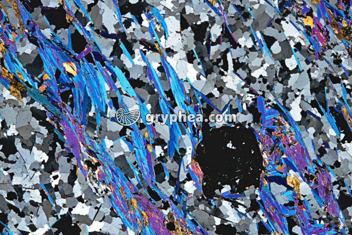 Micaschiste à grenats LPA x4 - gryphea.com